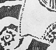 Графический эскиз / Drawing study 25