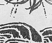 Графический эскиз / Drawing study 29