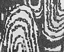 Графический эскиз / Drawing study 33