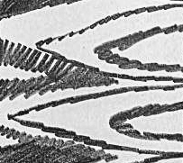 Графический эскиз / Drawing study 35