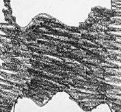 Графический эскиз / Drawing study 70