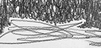 Графический эскиз / Drawing study 77