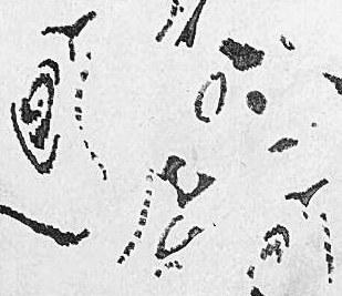 Графический эскиз / Drawing study 94