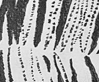 Графический эскиз / Drawing study 114