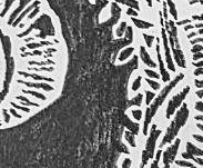 Графический эскиз / Drawing study 118