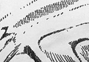 Графический эскиз / Drawing study 121