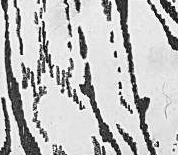 Графический эскиз / Drawing study 122