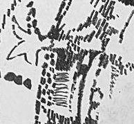 Графический эскиз / Drawing study 124