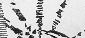 Графический эскиз / Drawing study 127