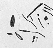 Графический эскиз / Drawing study 133