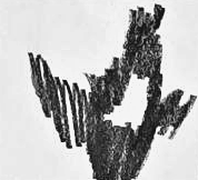 Графический эскиз / Drawing study 136