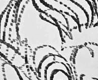 Графический эскиз / Drawing study 167