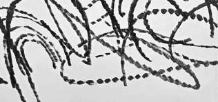 Графический эскиз / Drawing study 168