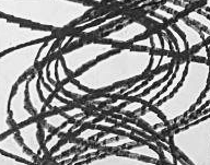 Графический эскиз / Drawing study 180