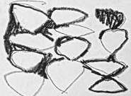 Графический эскиз / Drawing study 197