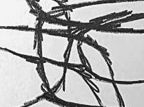 Графический эскиз / Drawing study 201