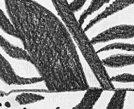 Графический эскиз / Drawing study 207
