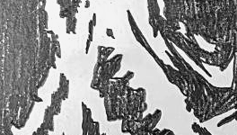 Графический эскиз / Drawing study 220
