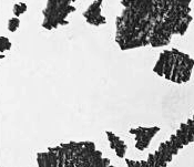 Графический эскиз / Drawing study 221