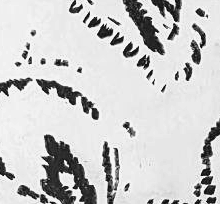 Графический эскиз / Drawing study 223