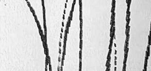 Графический эскиз / Drawing study 234