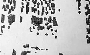 Графический эскиз / Drawing study 250