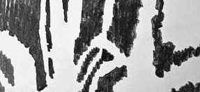 Графический эскиз / Drawing study 260