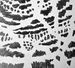 Графический эскиз / Drawing study 268