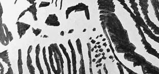 Графический эскиз / Drawing study 272