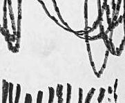 Графический эскиз / Drawing study 281