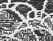 Графический эскиз / Drawing study 287