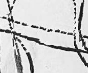 Графический эскиз / Drawing study 289