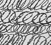 Графический эскиз / Drawing study 299