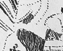 Графический эскиз / Drawing study 313