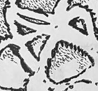Графический эскиз / Drawing study 323