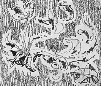 Графический эскиз / Drawing study 365