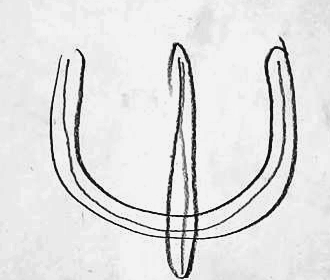 Графический эскиз / Drawing study 373