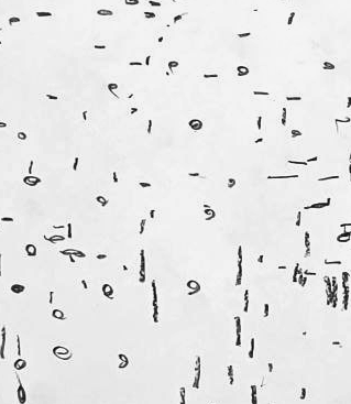 Графический эскиз / Drawing study 446