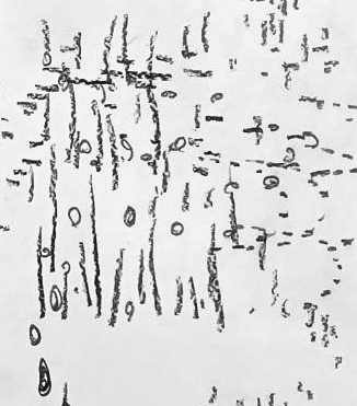 Графический эскиз / Drawing study 447