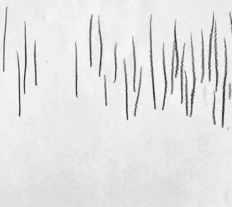Графический эскиз / Drawing study 496