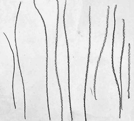 Графический эскиз / Drawing study 498
