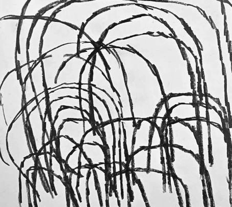 Графический эскиз / Drawing study 505