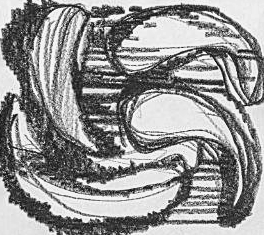 Графический эскиз / Drawing study 525