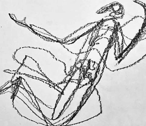 Графический эскиз / Drawing study 536