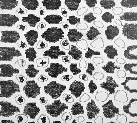 Графический эскиз / Drawing study 539
