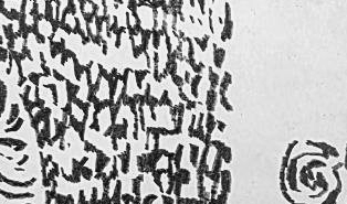 Графический эскиз / Drawing study 554