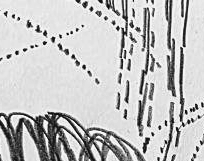 Графический эскиз / Drawing study 555