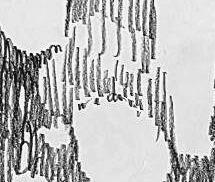 Графический эскиз / Drawing study 565