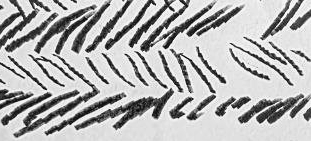 Графический эскиз / Drawing study 570