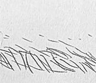 Графический эскиз / Drawing study 573